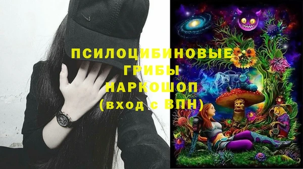 прущие грибы Осташков